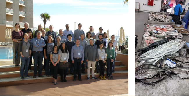 The STEMM-CCS scientists (left). local fish market (right). Image courtesy S. Widdicombe